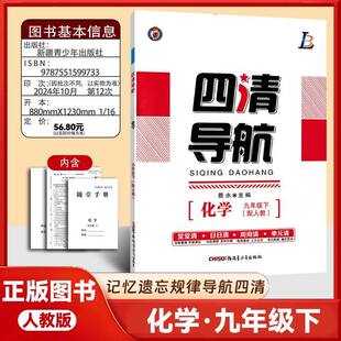 2026版四清导航九年级下册化学人教版同步练习册堂堂清日日清周周清单元清猎豹图书四清导航9年级下册化学初中同步练习册课时作业