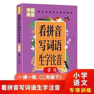 二年级下册看拼音写词语生字注音人教版 小学生二年级拼音专项训练2注音版 练习册每日一练生字同步练习专项训练书拼音写字本天天练