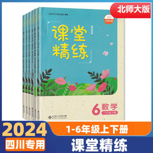 社1 北京师范大学出版 含答案 课堂精练数学一二三四五六年级上下册北师大版 6年级上下册课堂精练同步练习四川专版 2024春四川专版