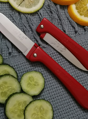 不锈钢折叠水果刀家用削皮刀高档便携随身瓜果刀学生宿舍用小刀子