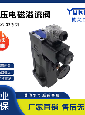 榆次油研正品 液压电磁溢流阀S-BSG-03 D24/A240-N1-51 S-BSG-06