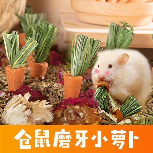仓鼠提摩西草饼磨牙零食红萝卜草