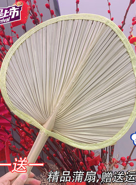 夏季老式蒲扇乘凉蚊子济公烧烤