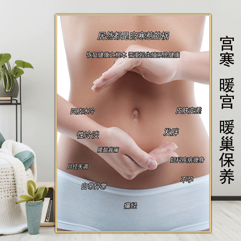 宫寒海报妇科广告宫颈疾病示意图卵巢保养宣传画子宫图片暖宫挂画