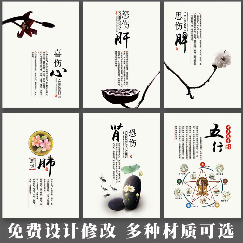 心肝脾肺肾图海报挂画中医养生图片人体背景墙画金木水火土五行图