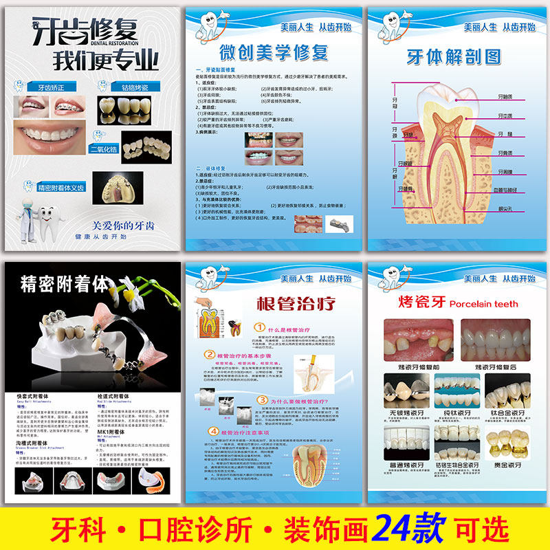 牙科图片口腔挂图牙齿宣传海报医院诊所广告图烤瓷牙解剖图墙贴画
