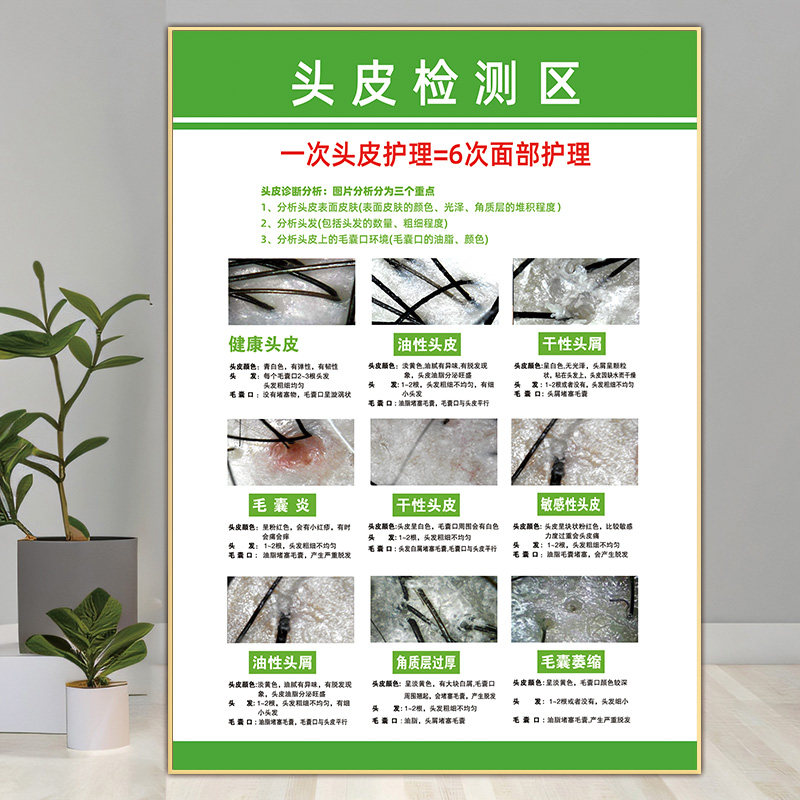 头皮检测对比图生发育发宣传画植发广告脱发养发馆挂画白转黑海报