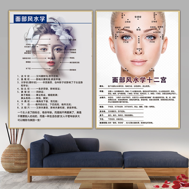祛皱海报面部风水学宣传画抗衰老广告医美墙贴去皱图片微整形挂画
