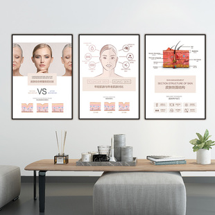 皮肤结构图海报面部祛皱宣传画抗衰图片皮肤管理广告微整海报挂画
