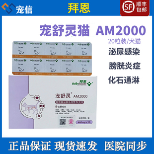 拜恩宠舒灵猫咪宠物尿路感染结石膀胱炎症尿频尿血AM2000猫