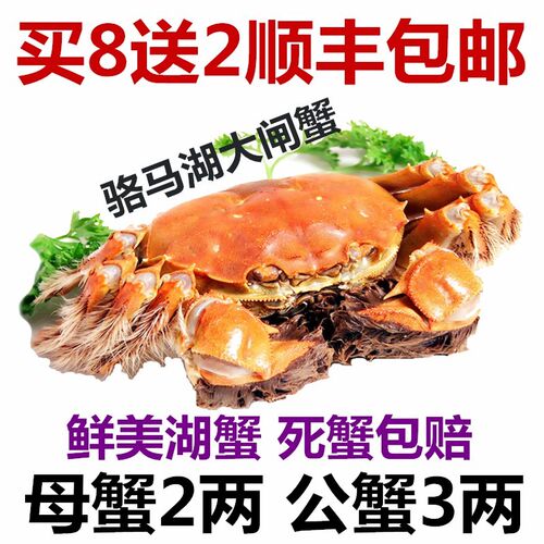 骆马湖大闸蟹闪送同城鲜活螃蟹