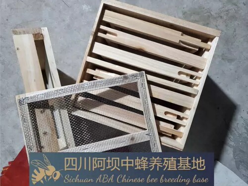 蜂箱小型交尾箱拼接巢框养蜂工具中蜂箱蜜蜂箱养蜂箱板1.5cm厚