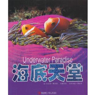 【正版书】 海底天堂 作者 (意) 安吉洛·摩杰塔, 安德里亚, 安东内拉·费拉里 青岛出版社