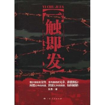 【正版】一触即发 张勇