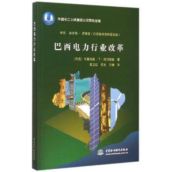 【正版】巴西电力行业改革 [巴西]毛里西奥·T