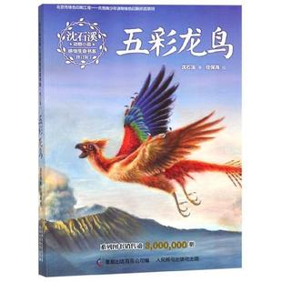 【正版】沈石溪动物小说感悟生命书系(修订版) 五彩龙鸟 沈石溪