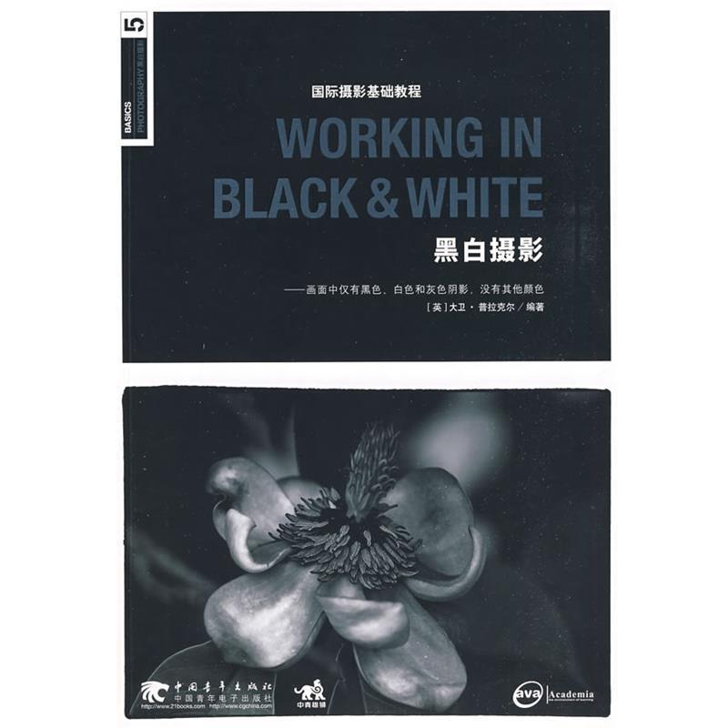 【正版】WORKING IN BLACK WHITE 黑白摄影 国际 [英]普拉克尔 解伟