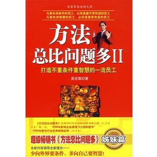 【正版书】 方法总比问题多 二 吴甘霖 著 机械工业出版社