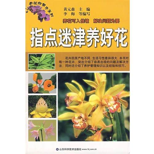 【正版】指点迷津养好花 养花好帮手系列 黄元森