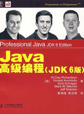 【正版】Java高级编程 [美]理查森（Ric