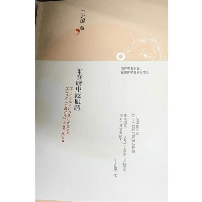 【正版】谁在暗中眨眼睛 王定国