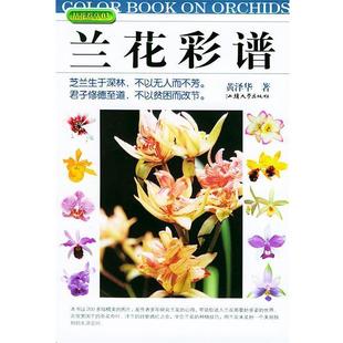 黄泽华 兰花彩谱 正版
