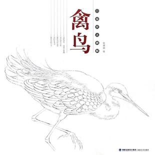 【正版书】 禽鸟 白描技法精解 绘画:张贤明 福建美术出版社