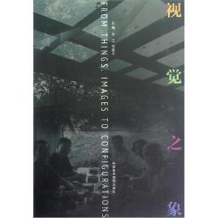 【正版书】 视觉之象 许江,司徒立著,许江,司徒立 编 中国美术学院出版社
