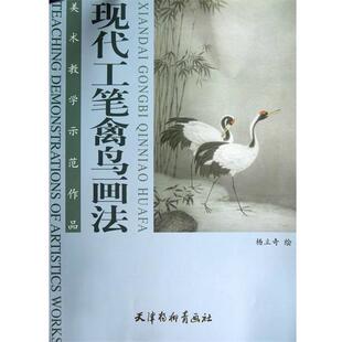 【正版书】 现代工笔禽鸟画法-美术教学示范作品 杨立奇 著,杨立奇 绘 杨柳青