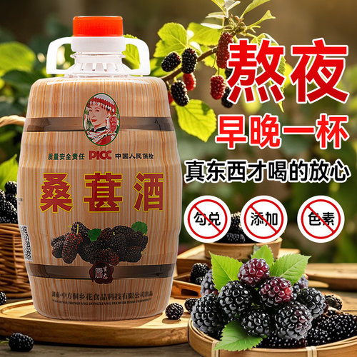 自酿桑葚酒正宗发酵桑葚米酒