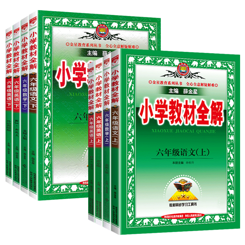 薛金星小学教材全解六年级上下册