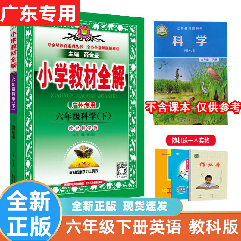 薛金星小学教材全解英语教科版