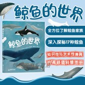 知识性与艺术性兼具 后浪童书 鲸鱼 科普 海洋生命 高颜值科普图册 10岁 世界 现货