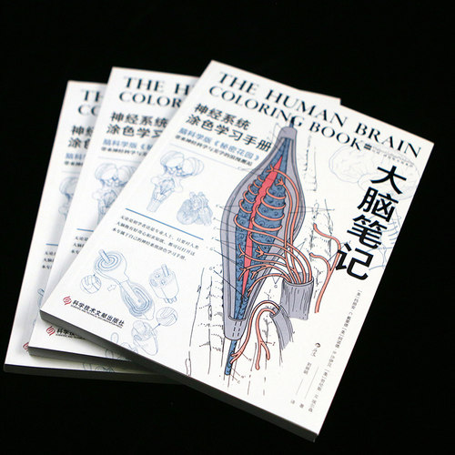 大脑笔记医学脑科后浪正版