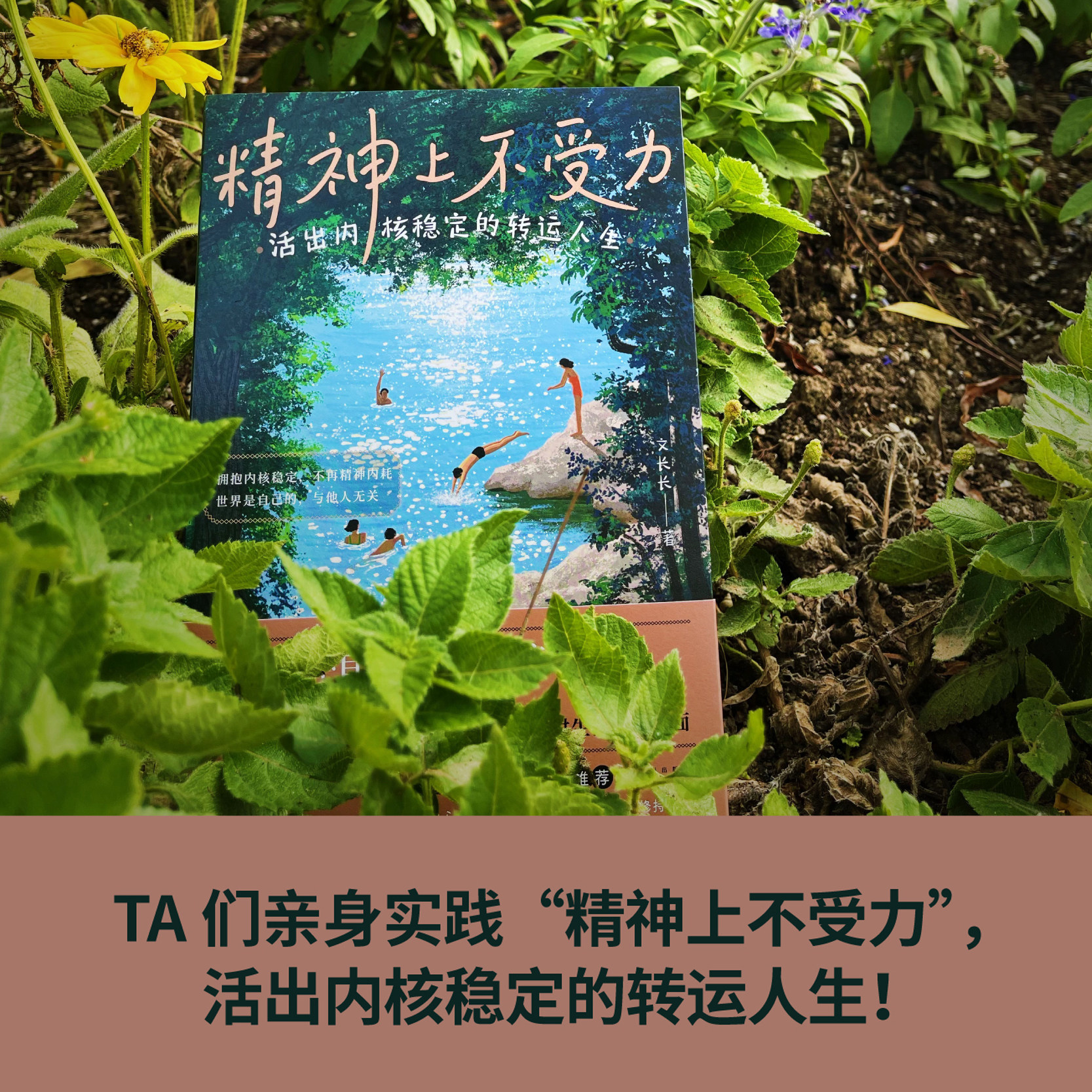 【现货】精神上不受力：活出内核稳定的转运人生 给当代年轻人的成长疗愈哲思书 精神内耗者救星 成长励志人生哲学书籍 后浪正版图片