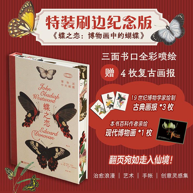 【特装版+赠4枚画报】后浪正版 蝶之恋 博物画中的蝴蝶 复古艺术馆系列 116幅珍贵插画近300种蝶蛾 自然艺术科普收藏书籍