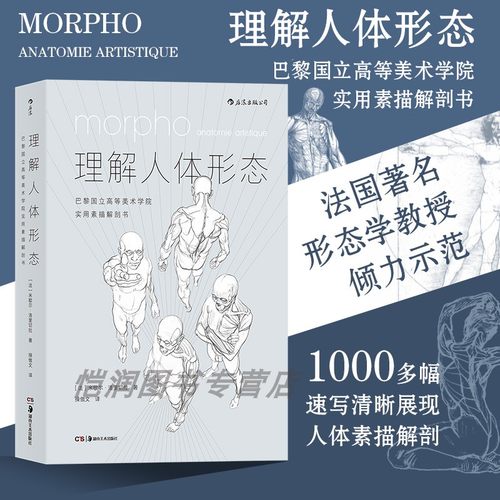 理解人体形态实用素描
