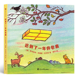 国际安徒生奖得主为苏珊娜贝尔纳 4岁宝宝精心创作 可爱口袋书 浪花朵朵童书现货 迟到了一年 儿童绘本 包裹