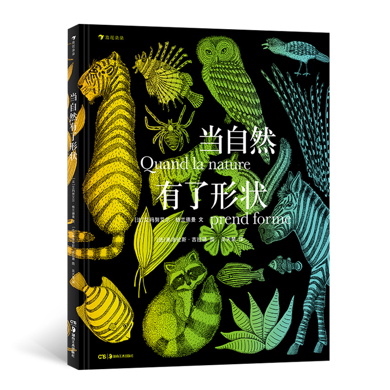 官方正版
