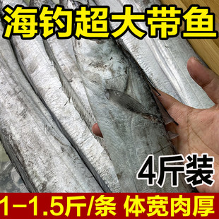 超大带鱼新鲜冷冻4指宽整条油带鱼段无冰海钓刀鱼