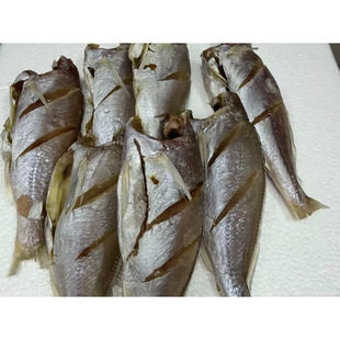 白梅鱼白梅鲞去头去内脏咸鱼海鲜干货