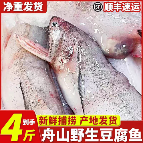 龙头鱼豆腐鱼海鲜水潺鱼4斤