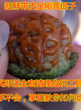 带皮金刚菩提子手串原籽黄皮五六瓣梅花双龙纹男女士佛珠情侣手链
