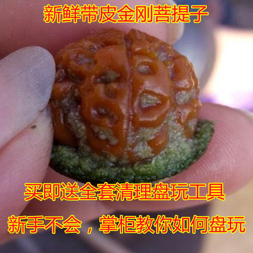 带皮金刚菩提子手串原籽黄皮五六瓣梅花双龙纹男女士佛珠情侣手链