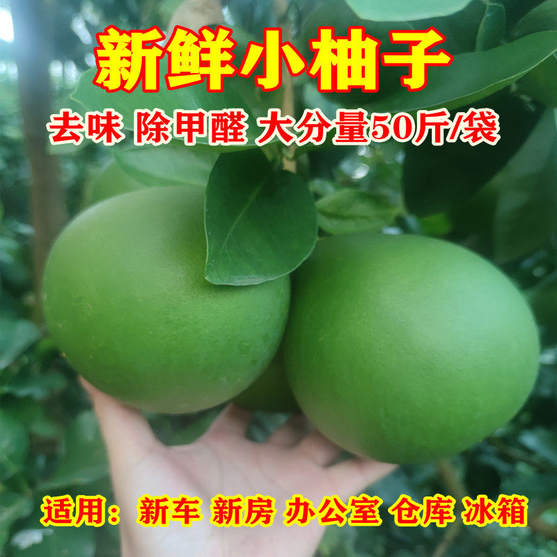 新鲜青皮去味小柚子办公室冰箱新房去味50斤装大分量除甲醛小柚子