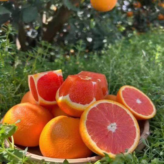 正宗中华红血橙新鲜水果秭归中华红雪橙当季整箱红心橙子现摘现发,水产肉类/新鲜蔬果/熟食,橙,淘宝优惠券,粉丝福利购,淘宝优惠卷
