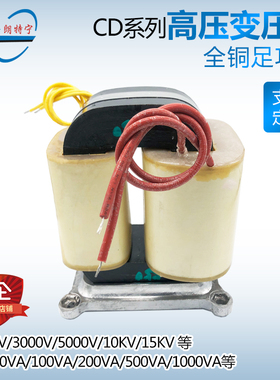CD型高压变压器2000V3千伏5000V10KV15KV试验变压器电源灌封