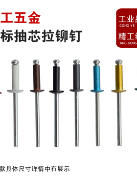 抽芯铆钉 拉铆钉 彩色香槟金色黑色白色灰色棕色咖啡 一千支 包邮