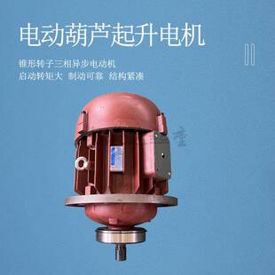 ZD型主起升电机10吨电动葫芦锥形电机ZD151 1KW