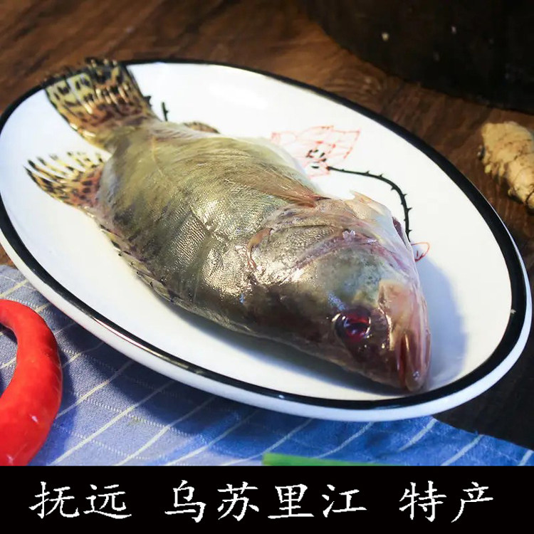 桂鱼鳜鱼鳌花鱼桂花鱼熬花东北黑龙江特产冷水新鲜淡水鱼特价包邮